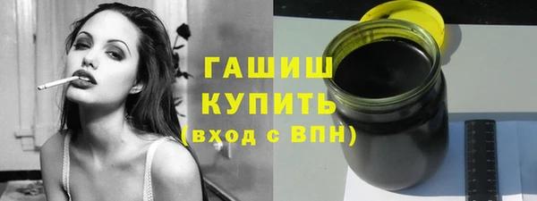 шишки Надым
