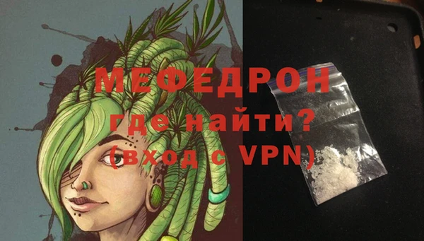 шишки Надым