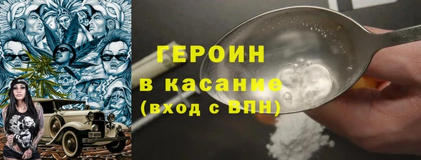 шишки Надым