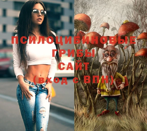 метадон Армянск