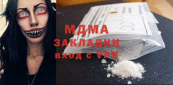 шишки Надым