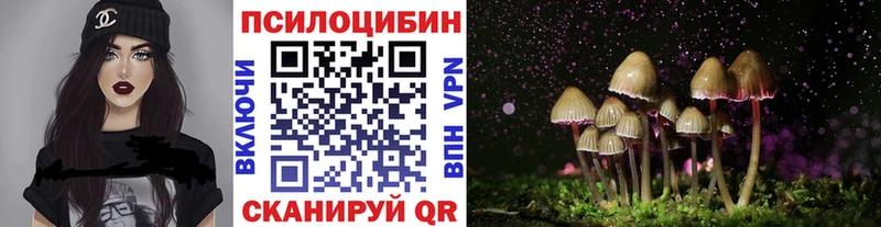 Купить  Борисоглебск  Галлюциногенные грибы Magic Shrooms 